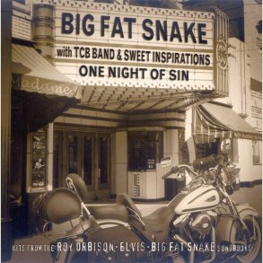 Big Fat Snake - One Night Of Sin