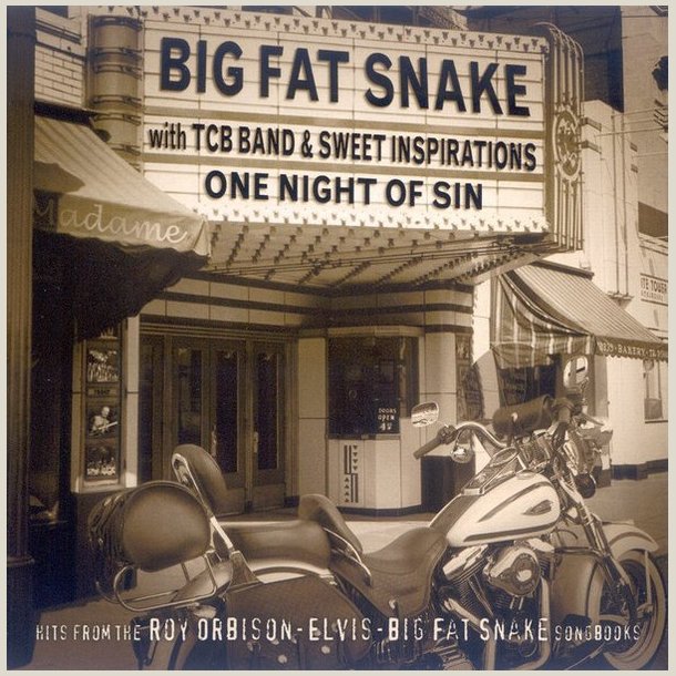 Big Fat Snake - One Night Of Sin