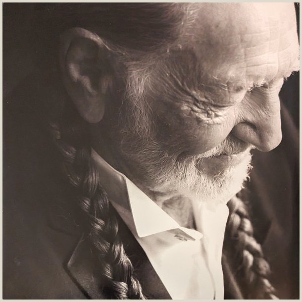 Willie Nelson - To All the Girls... 