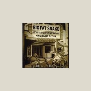 Big Fat Snake - One Night Of Sin