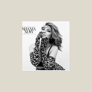 Shania Twain - Now   (2LP) [VINYL]