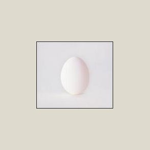 Wilco - A Ghost Is Born